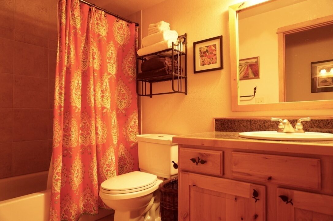 Photo of Bathroom in Steamboat Springs