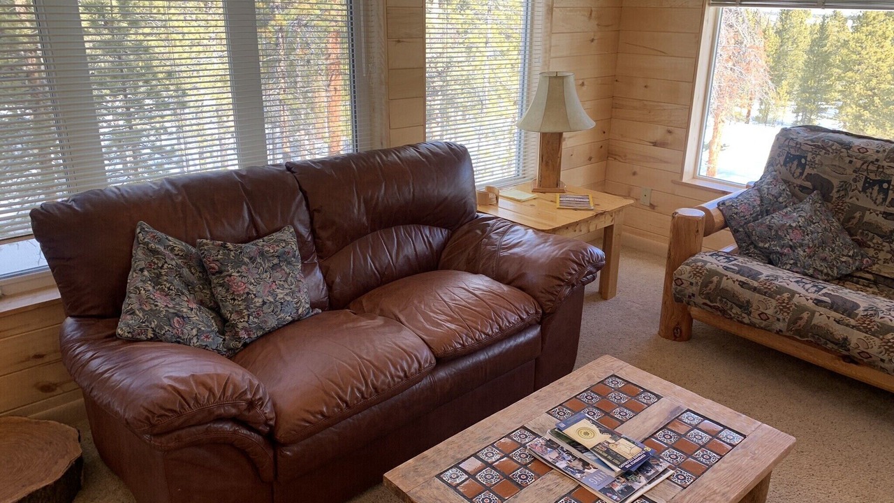 Photo of Livingroom in Twin Lakes