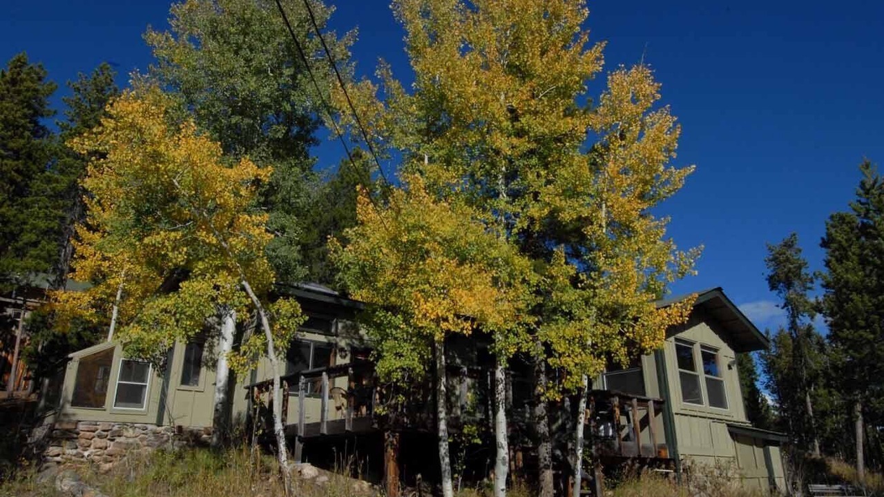 Photo of Others in Evergreen