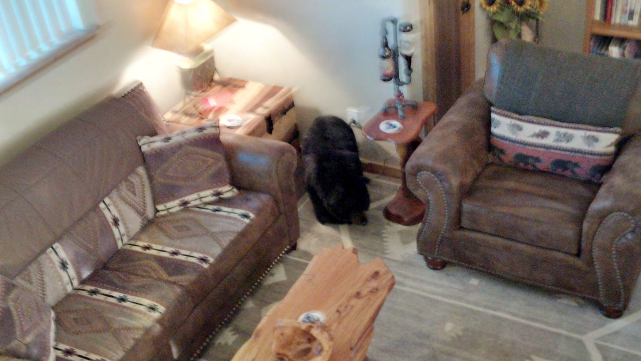 Photo of Livingroom in Durango - Purgatory