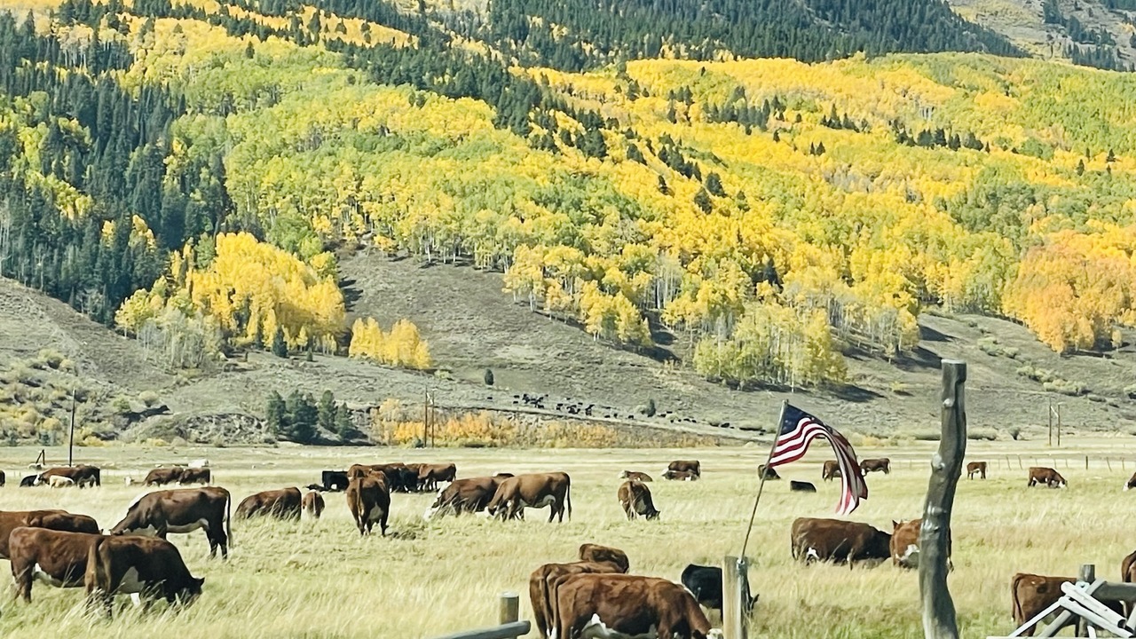 Photo of Others in Gunnison