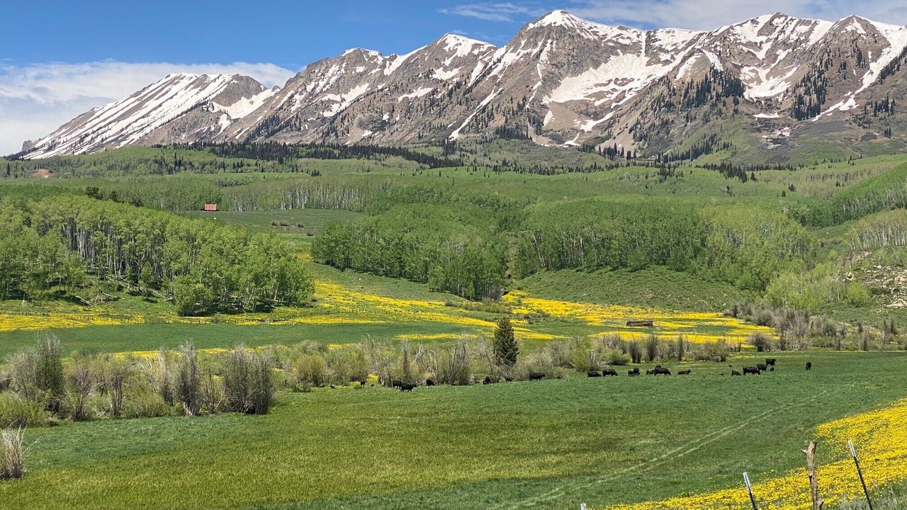 Photo of Others in Gunnison