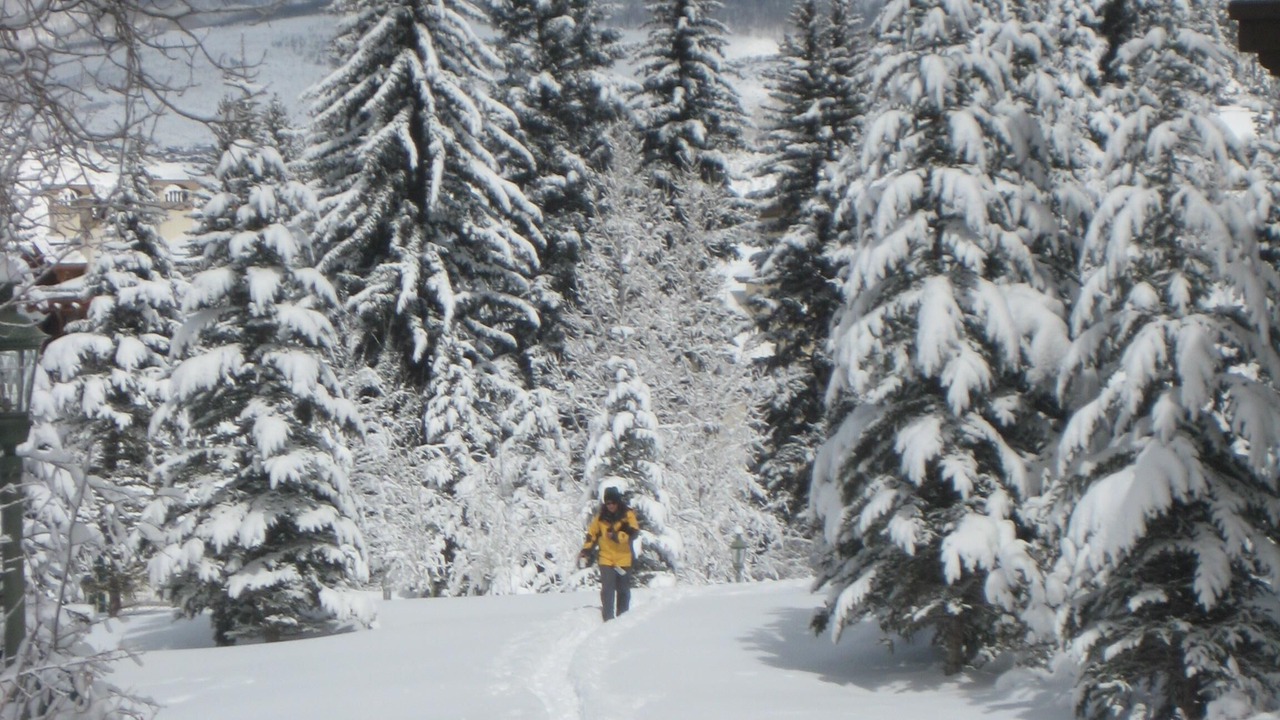 Photo of Others in Beaver Creek