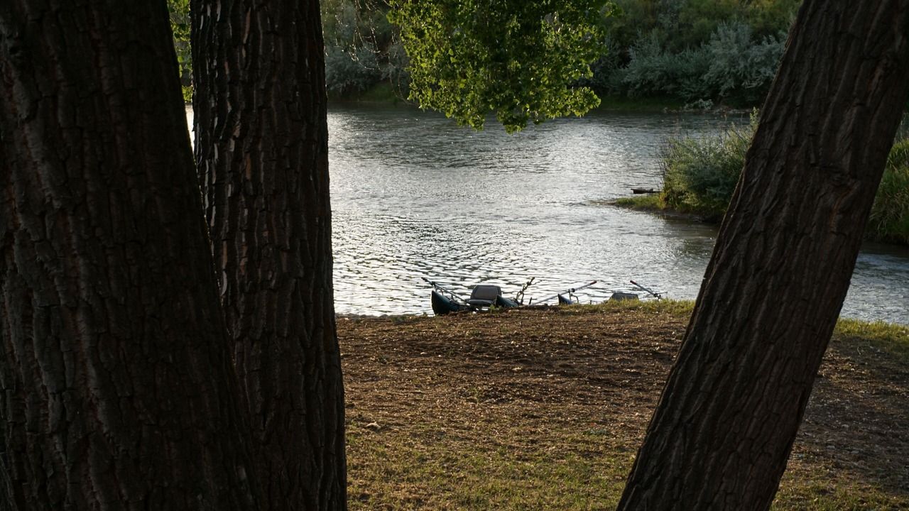 Photo of Others in Delta