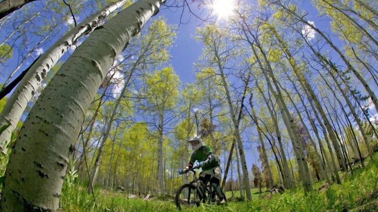 Photo of Outdoor in Granby