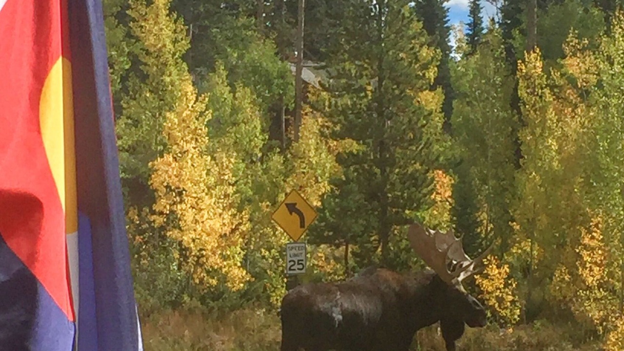 Photo of Others in Fraser