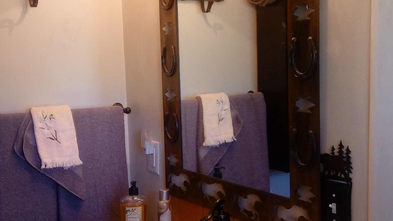 Photo of Bathroom in Twin Lakes