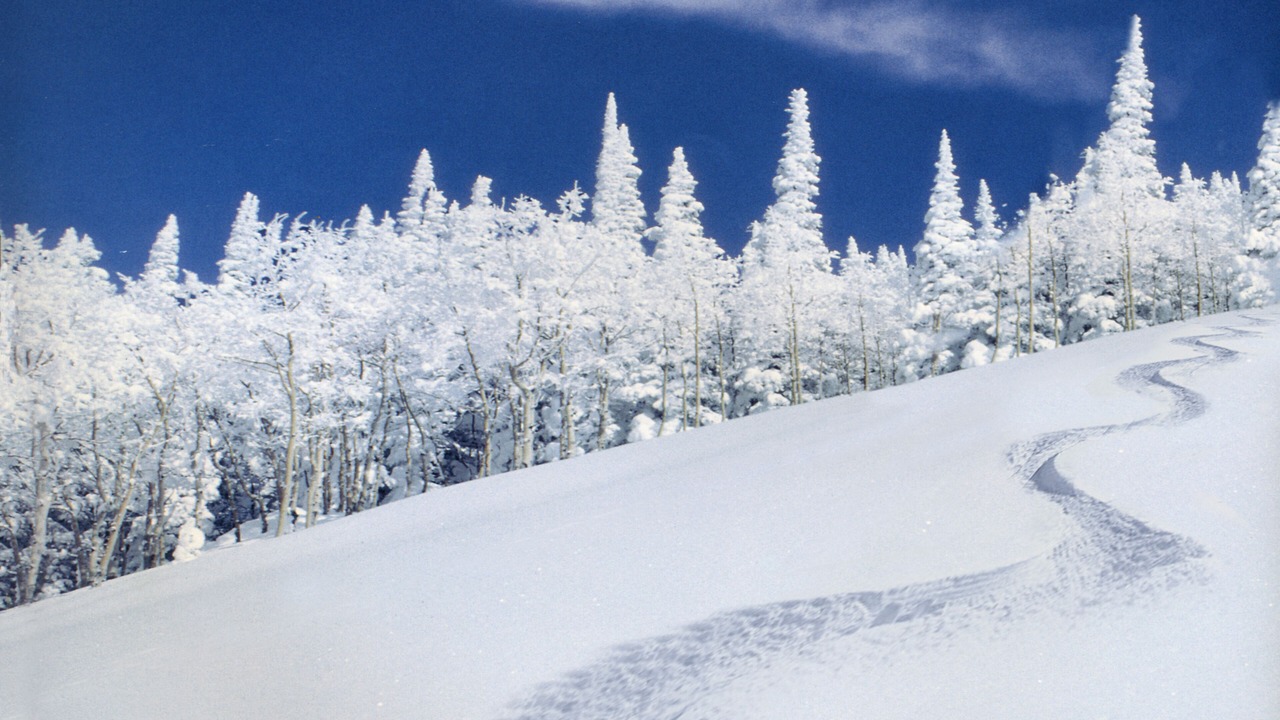 Photo of Others in Steamboat Springs