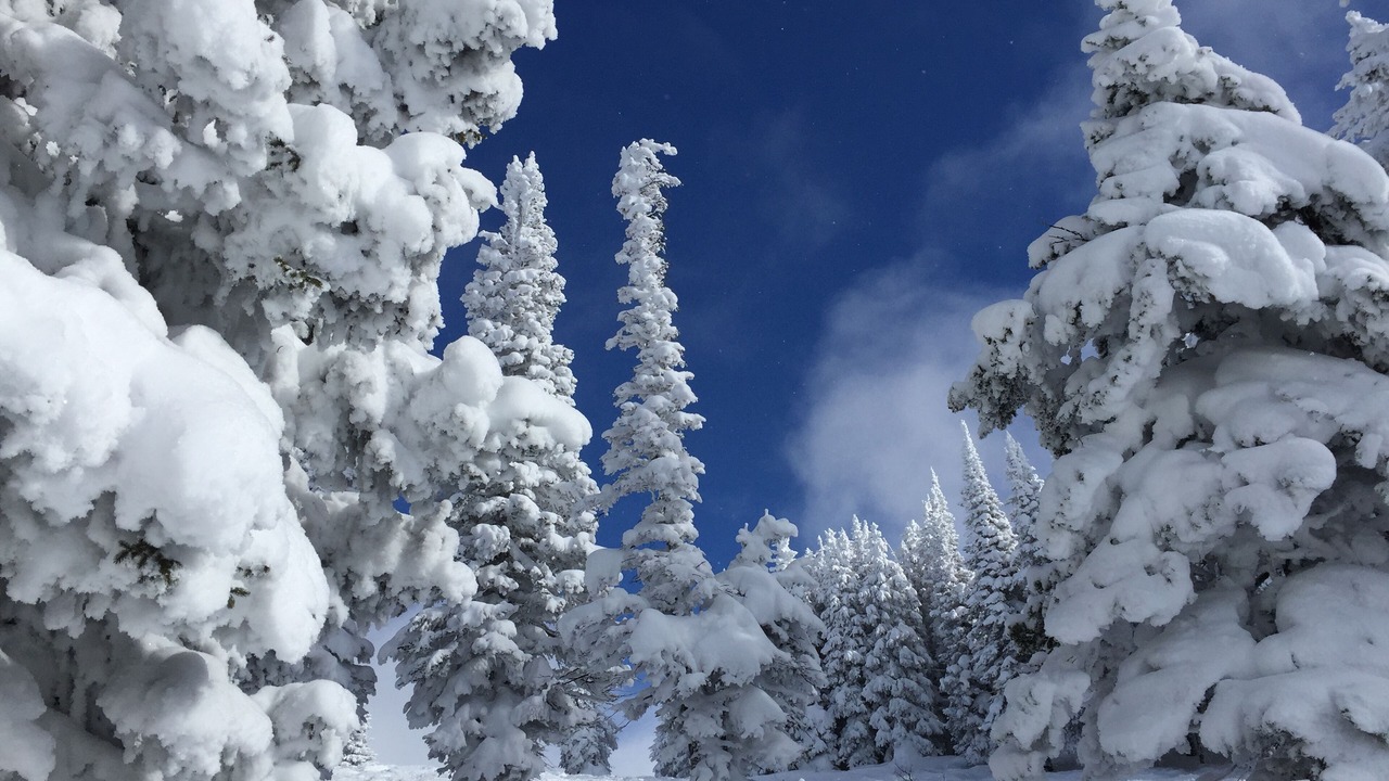 Photo of Others in Steamboat Springs