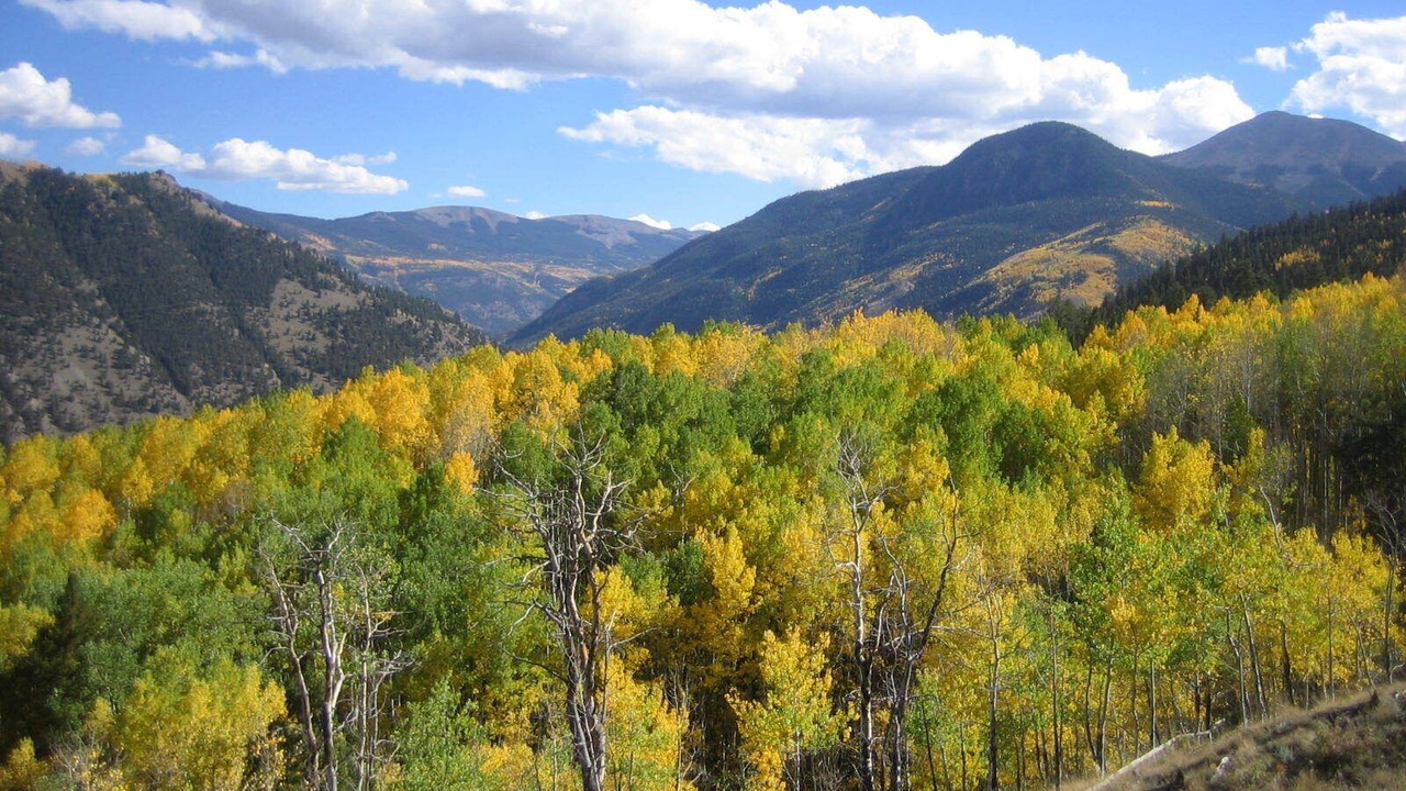 Photo of Outdoor in Lake City