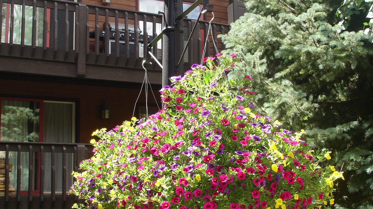 Photo of Outdoor in Vail
