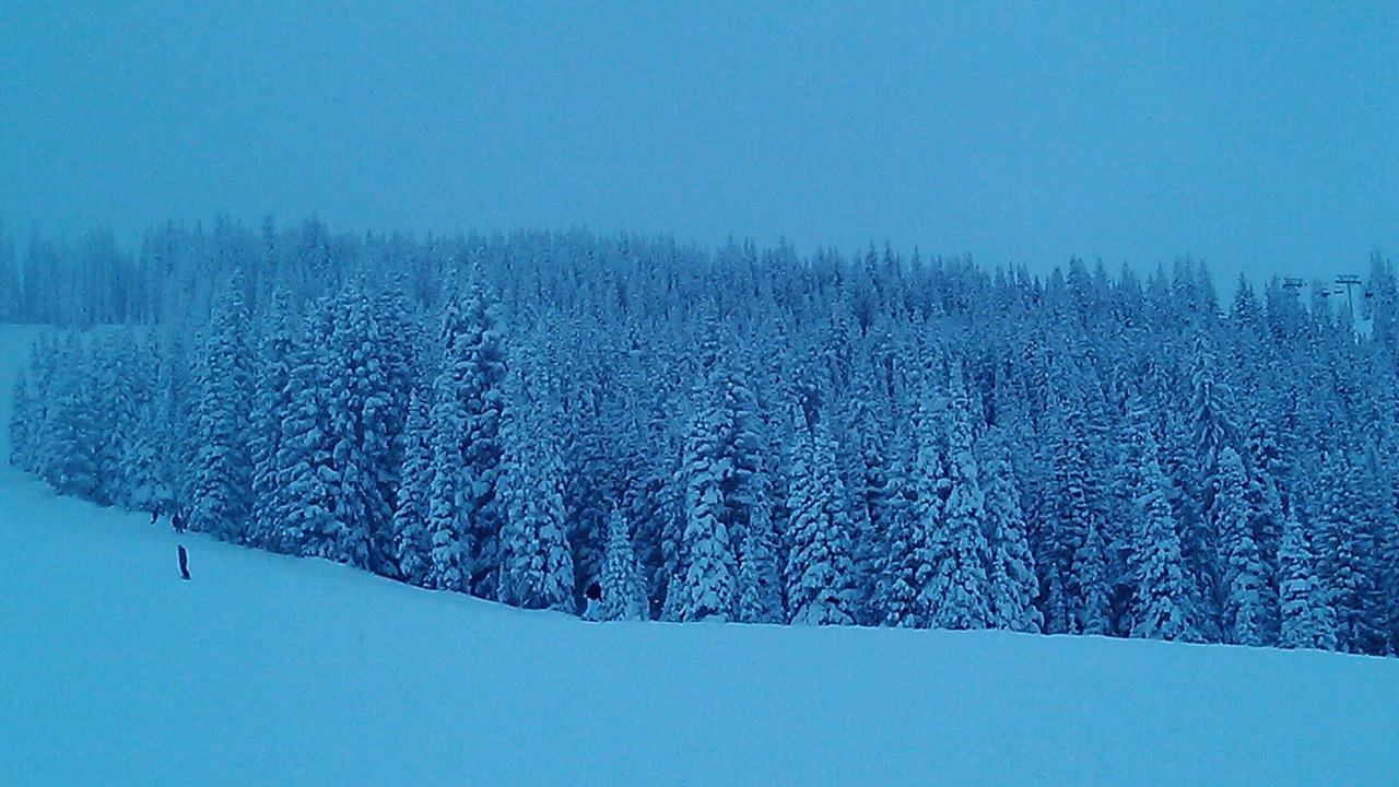 Photo of Others in Vail