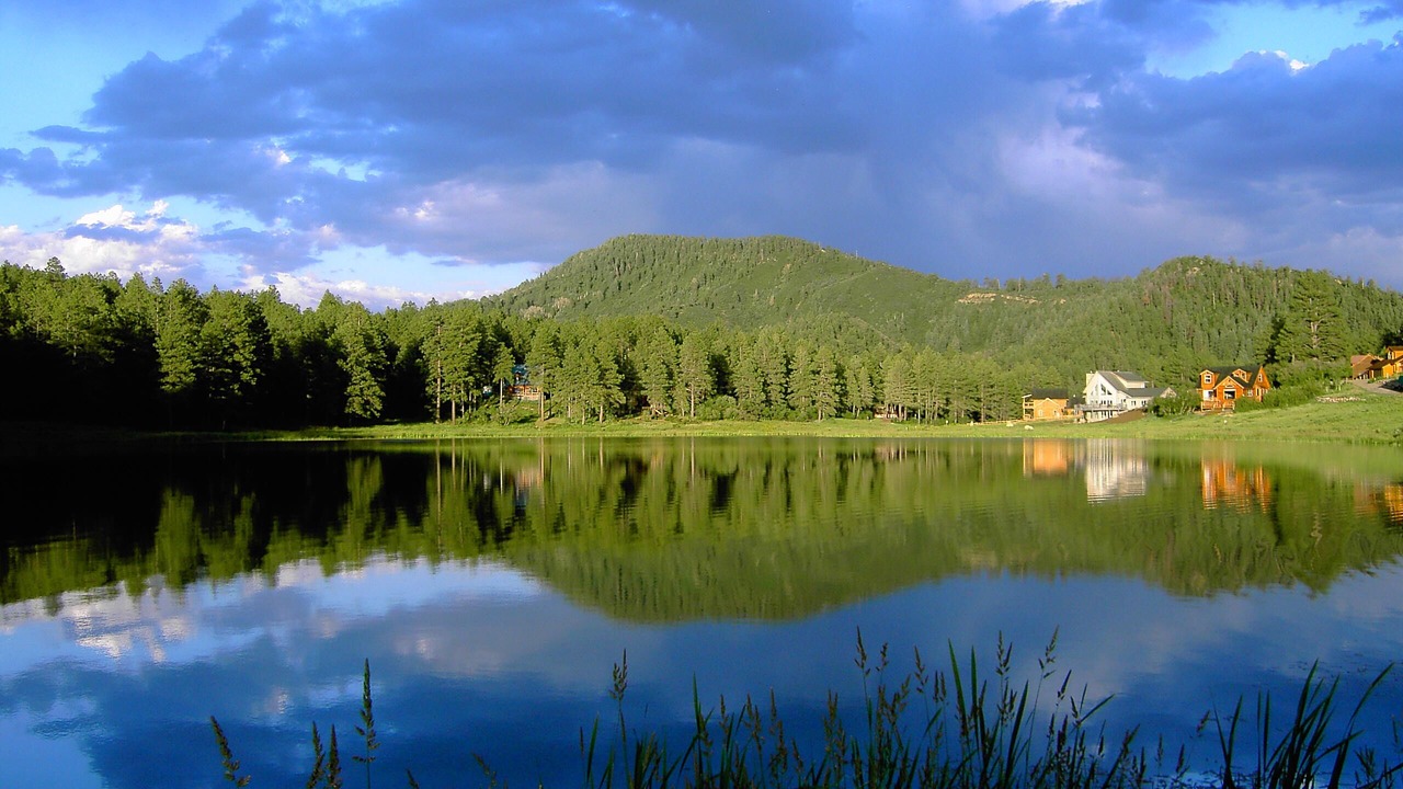 Photo of Others in Forest Lakes