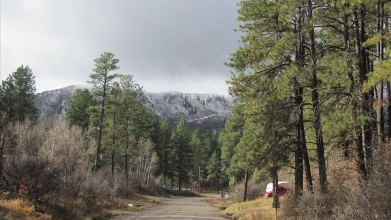 Photo of Others in Forest Lakes