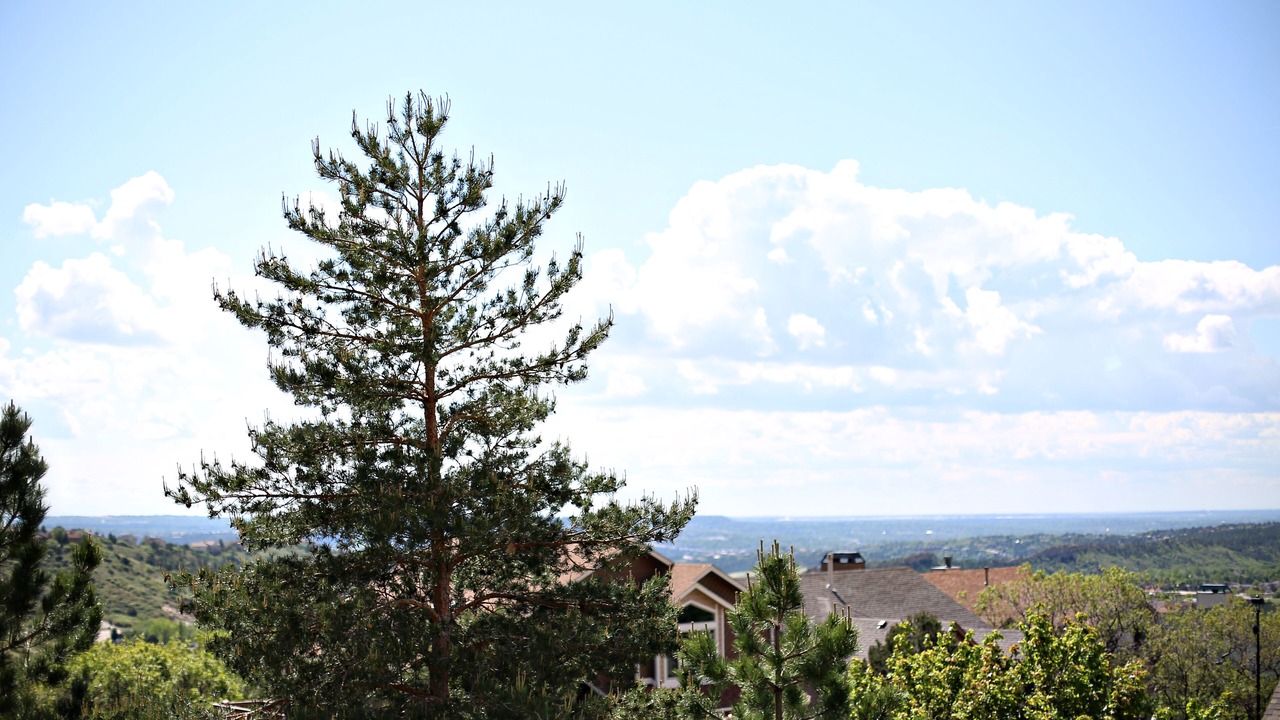 Photo of Others in Northwest Colorado Springs