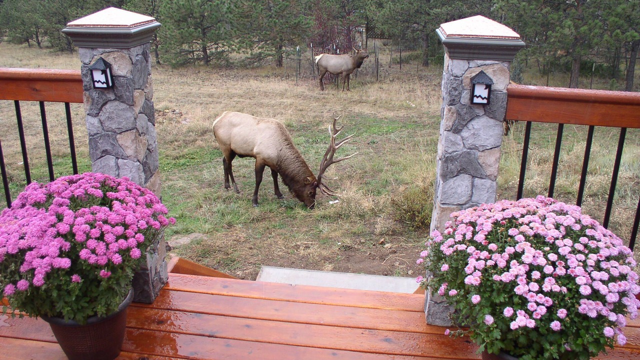Photo of Others in Stanley Hills