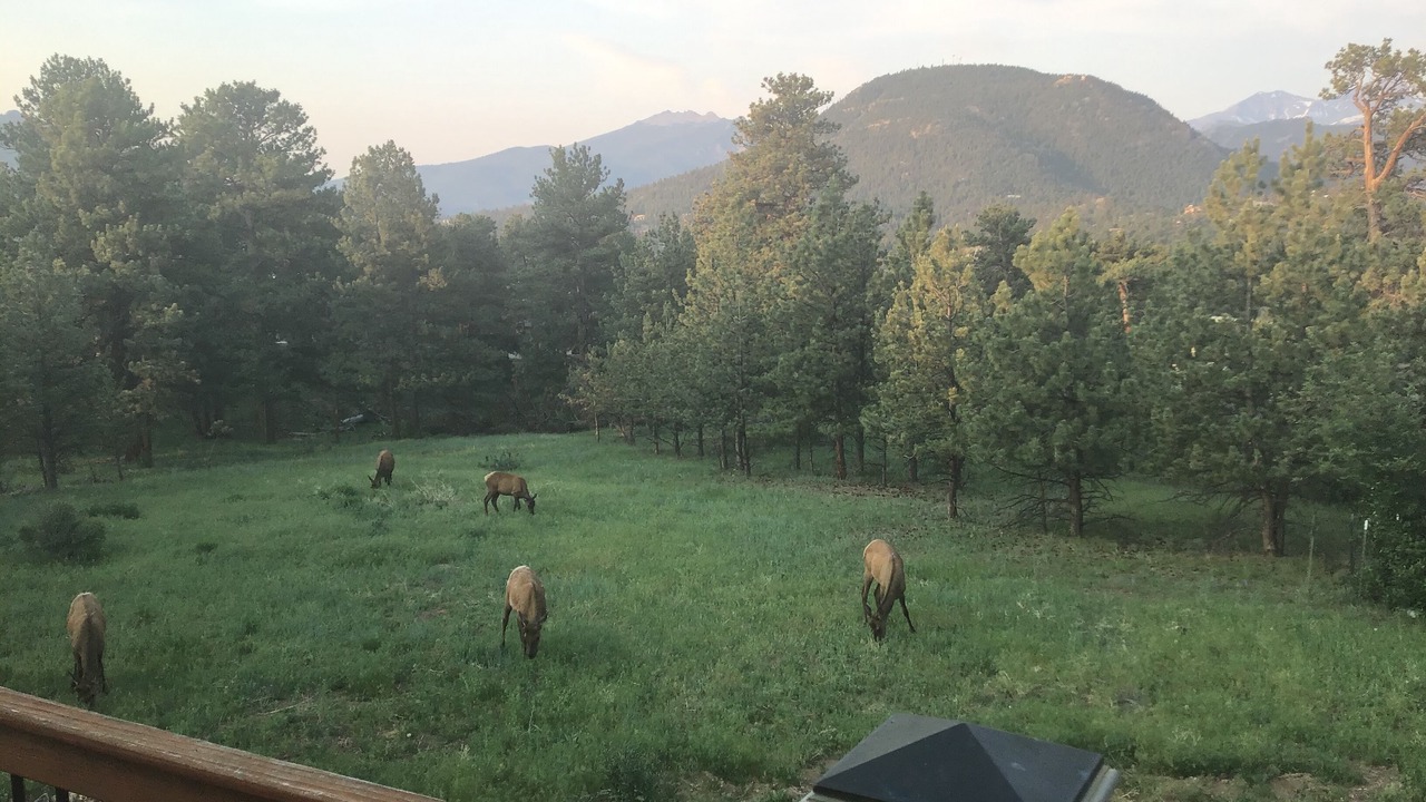 Photo of Outdoor in Stanley Hills