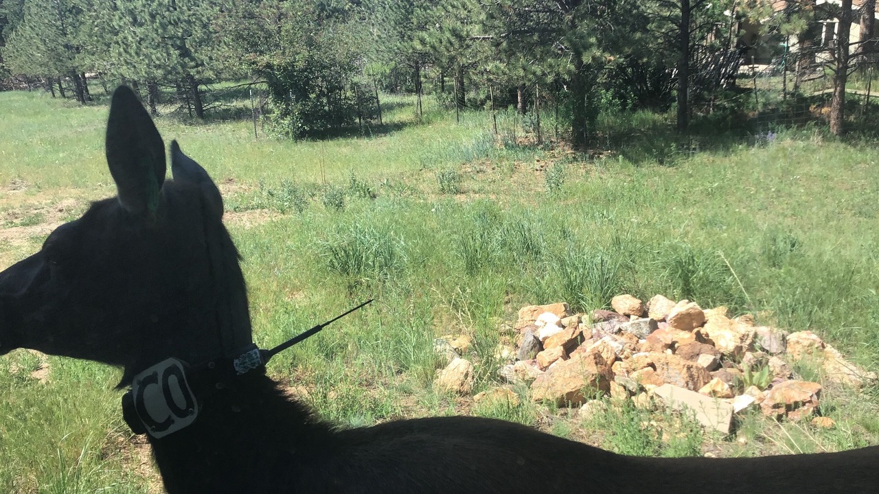 Photo of Outdoor in Stanley Hills