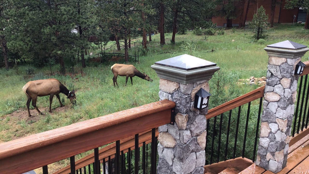 Photo of Outdoor in Stanley Hills