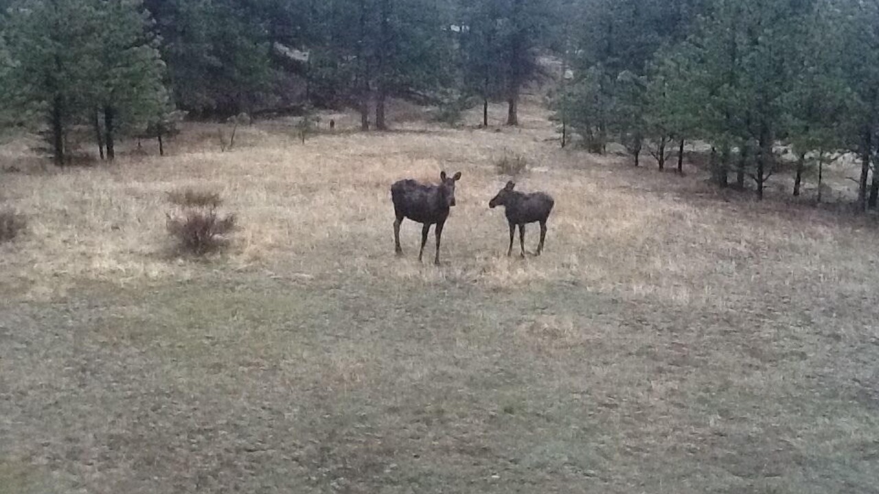 Photo of Others in Stanley Hills