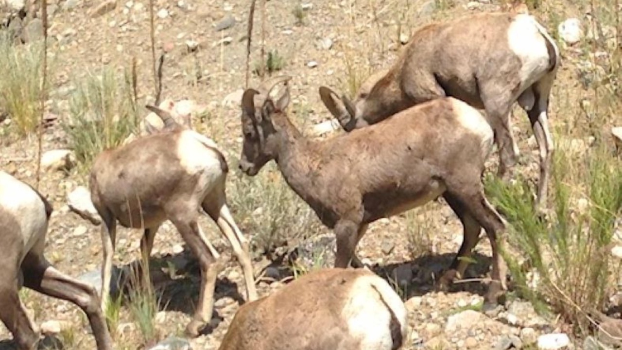 Photo of Others in Grand Lake