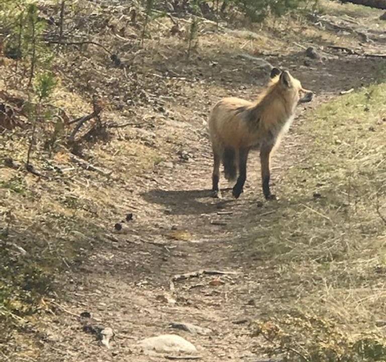 Photo of Others in Grand Lake