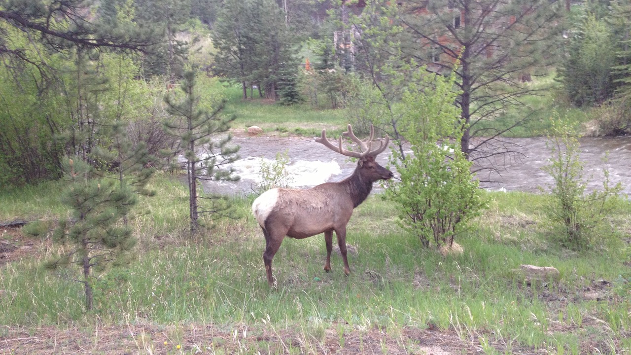 Photo of Others in Grand Lake