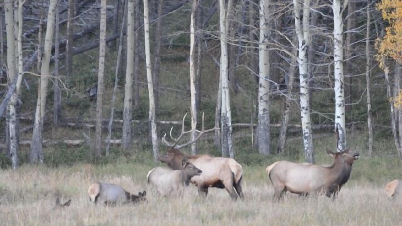 Photo of Others in Grand Lake