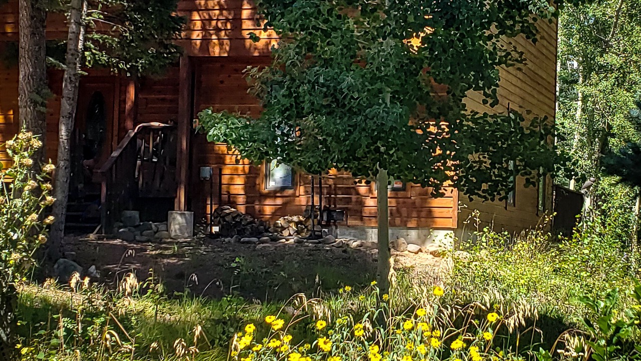 Photo of Others in Westcliffe