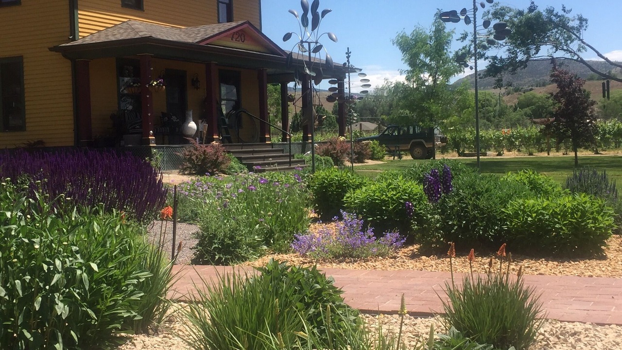 Photo of Outdoor in Palisade