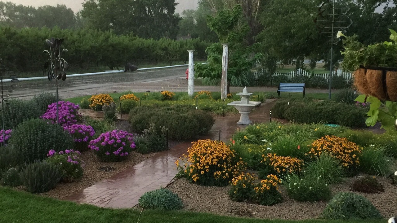 Photo of Outdoor in Palisade