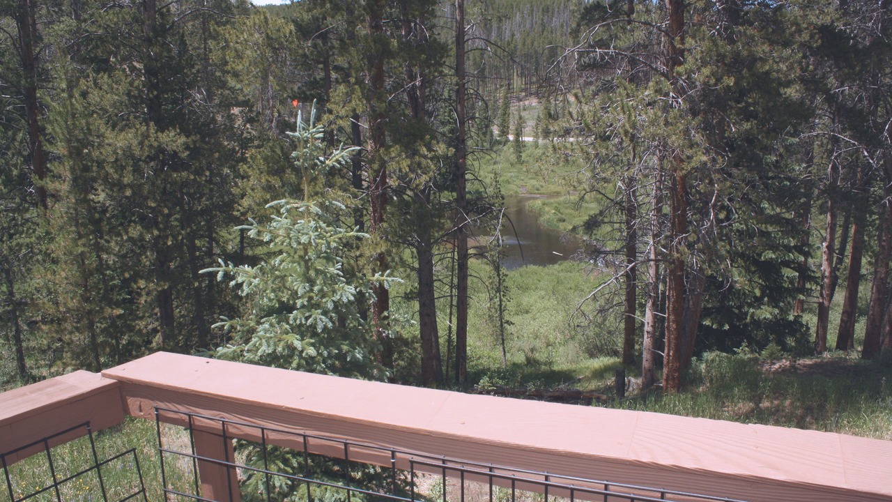 Photo of Others in Coyne Placer Valley