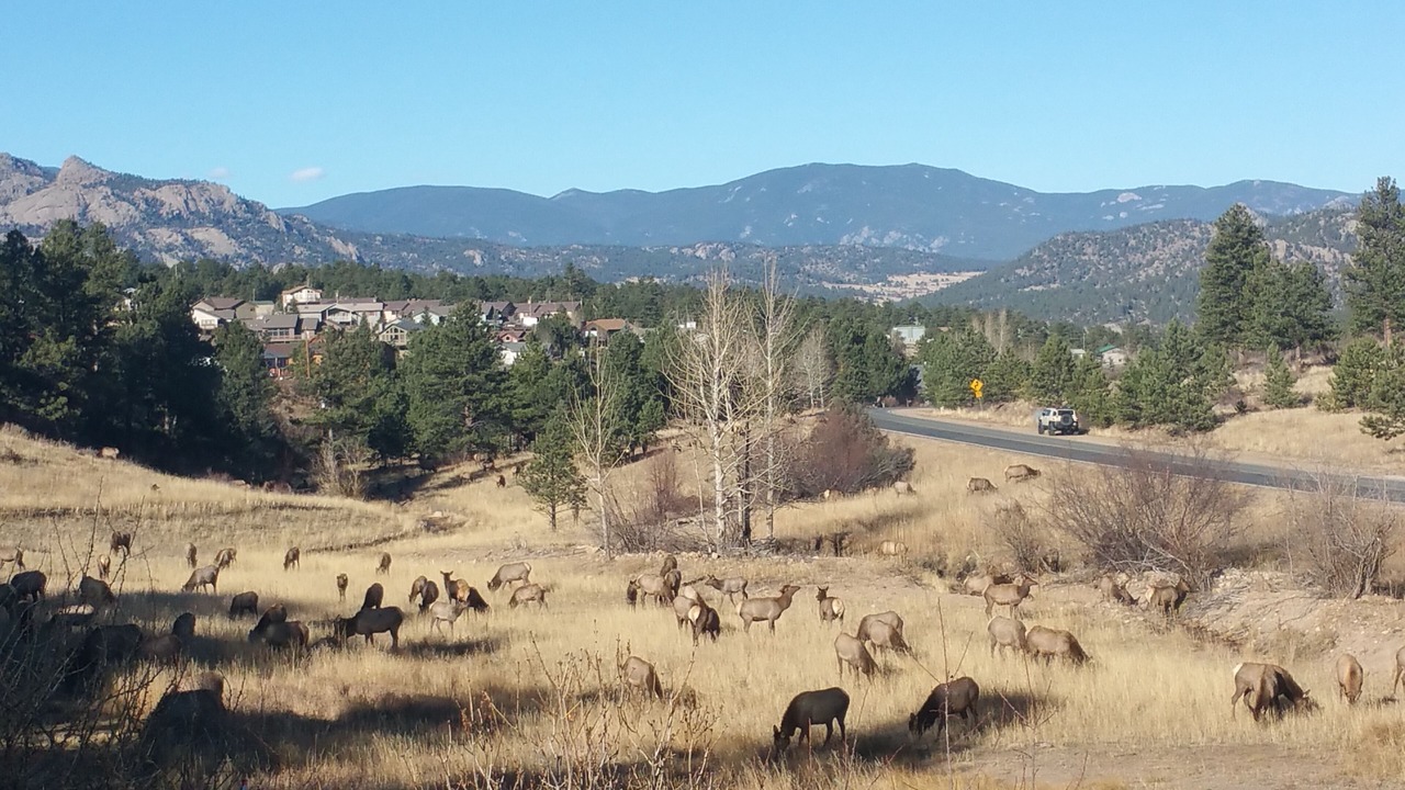 Photo of Others in Carriage Hills