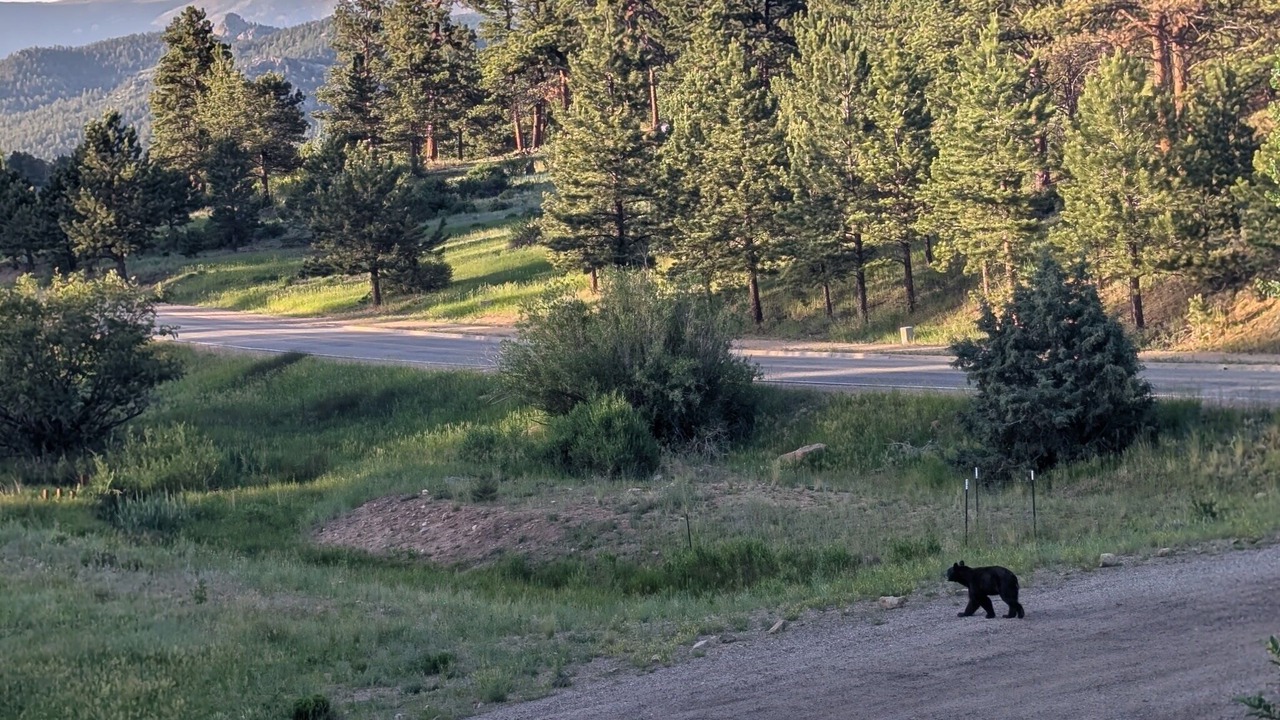 Photo of Others in Carriage Hills