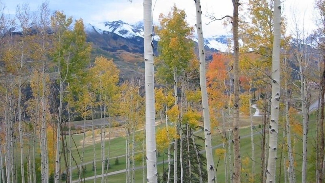 Photo of Others in Mountain Village