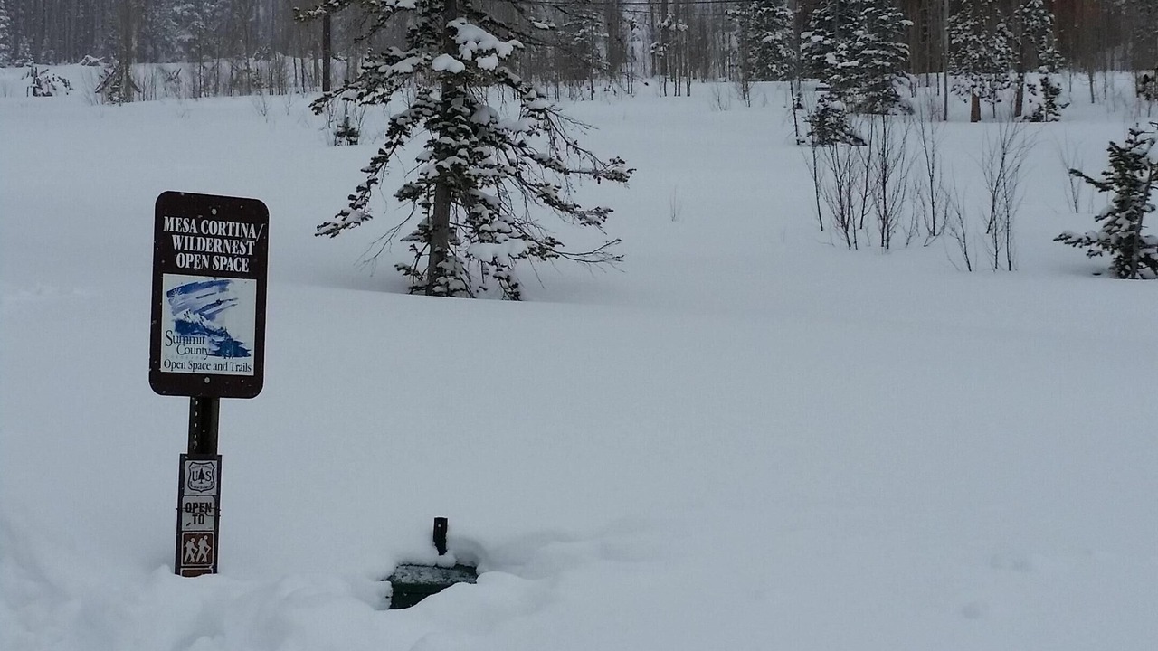 Photo of Outdoor in Wildernest