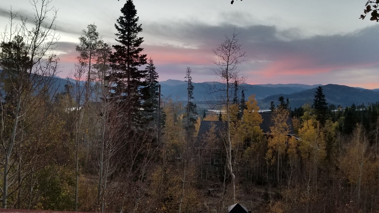 Photo of Others in Wildernest