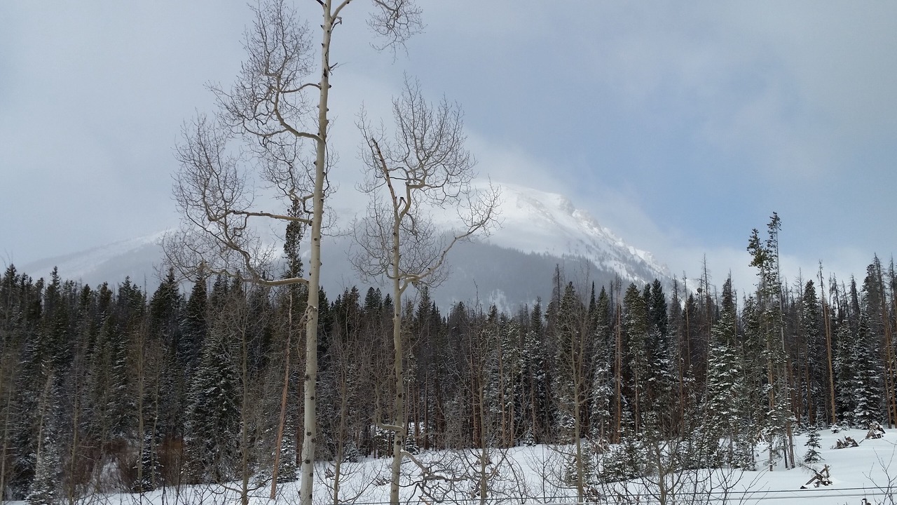 Photo of Others in Wildernest