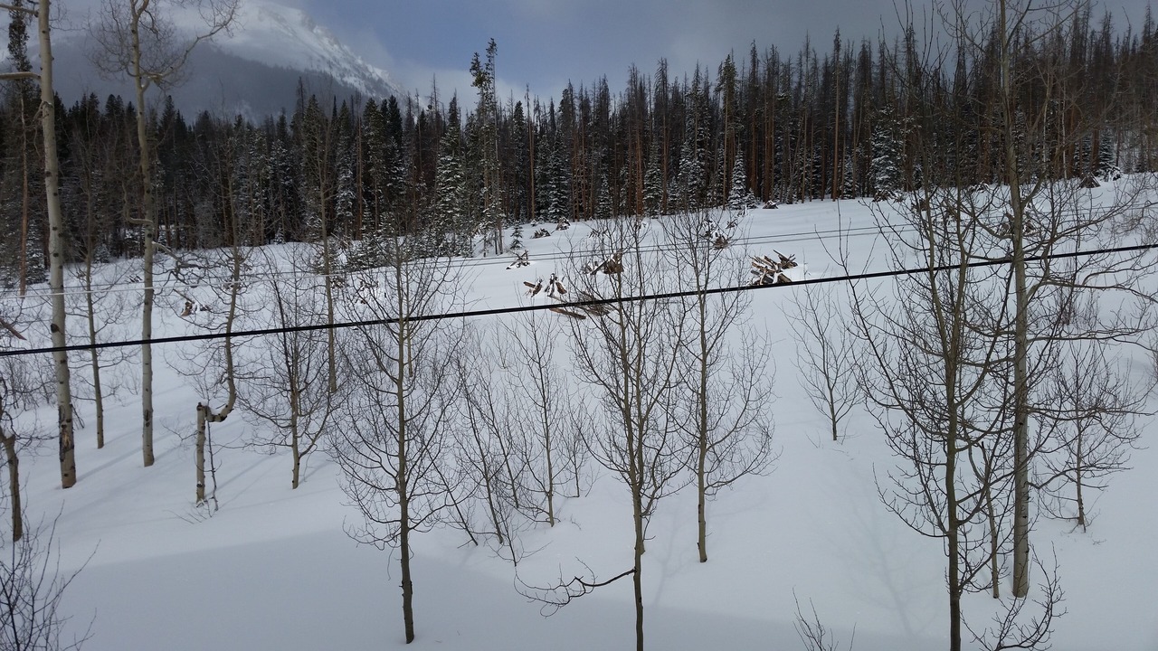 Photo of Others in Wildernest