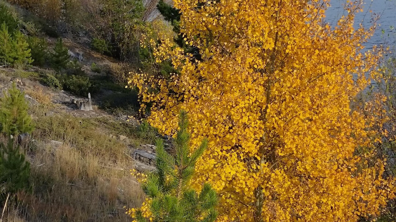 Photo of Outdoor in Wildernest