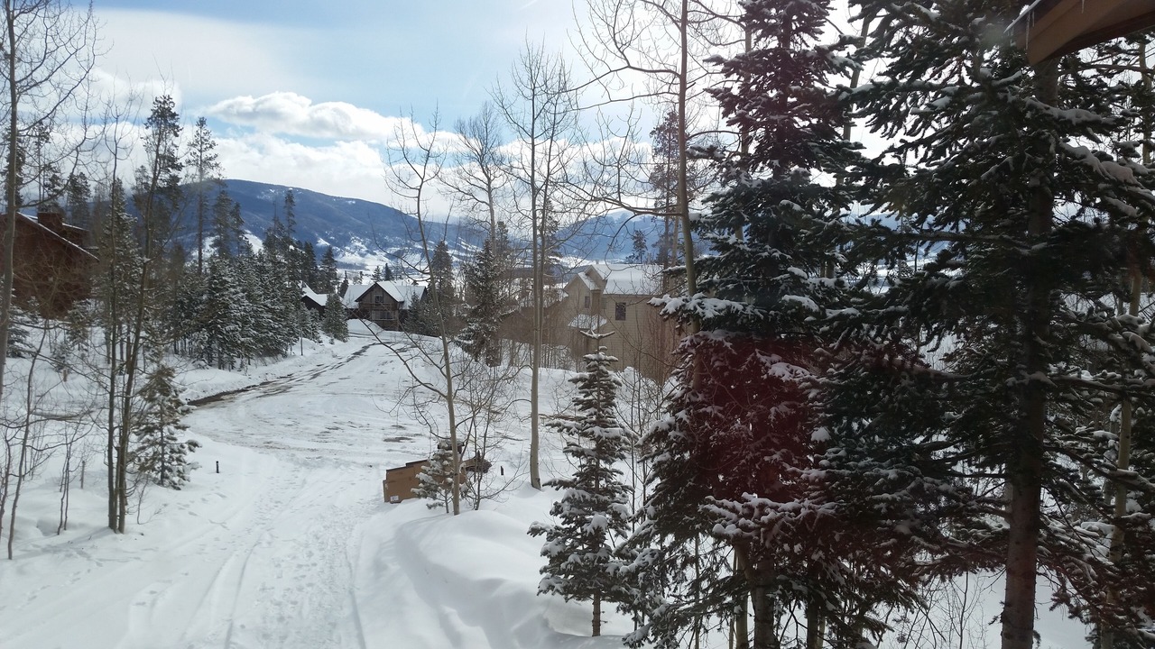 Photo of Others in Wildernest