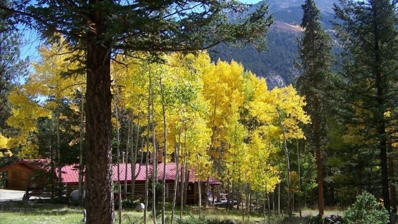 Photo of Others in Buena Vista