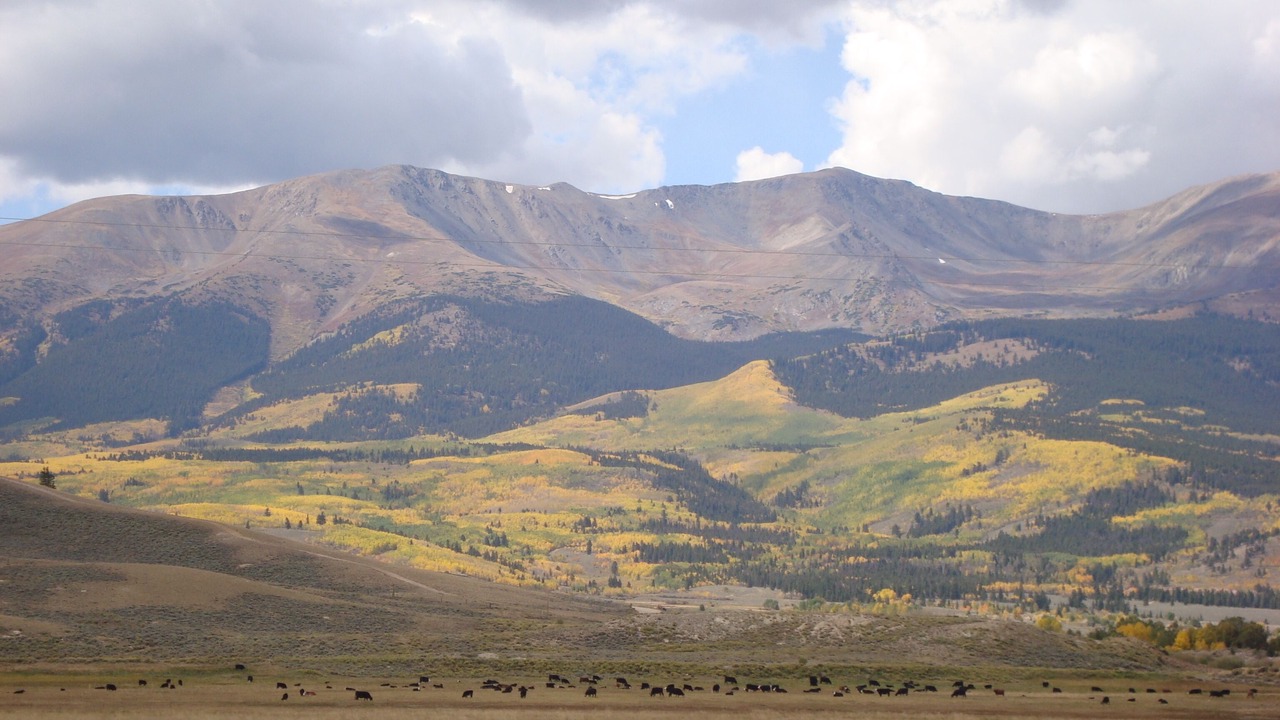 Photo of Others in Leadville