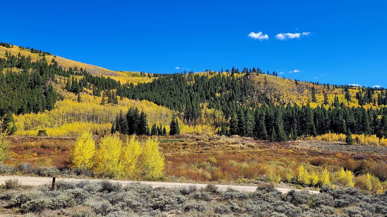 Photo of Others in Leadville