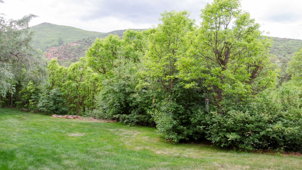 Photo of Outdoor in Carbondale