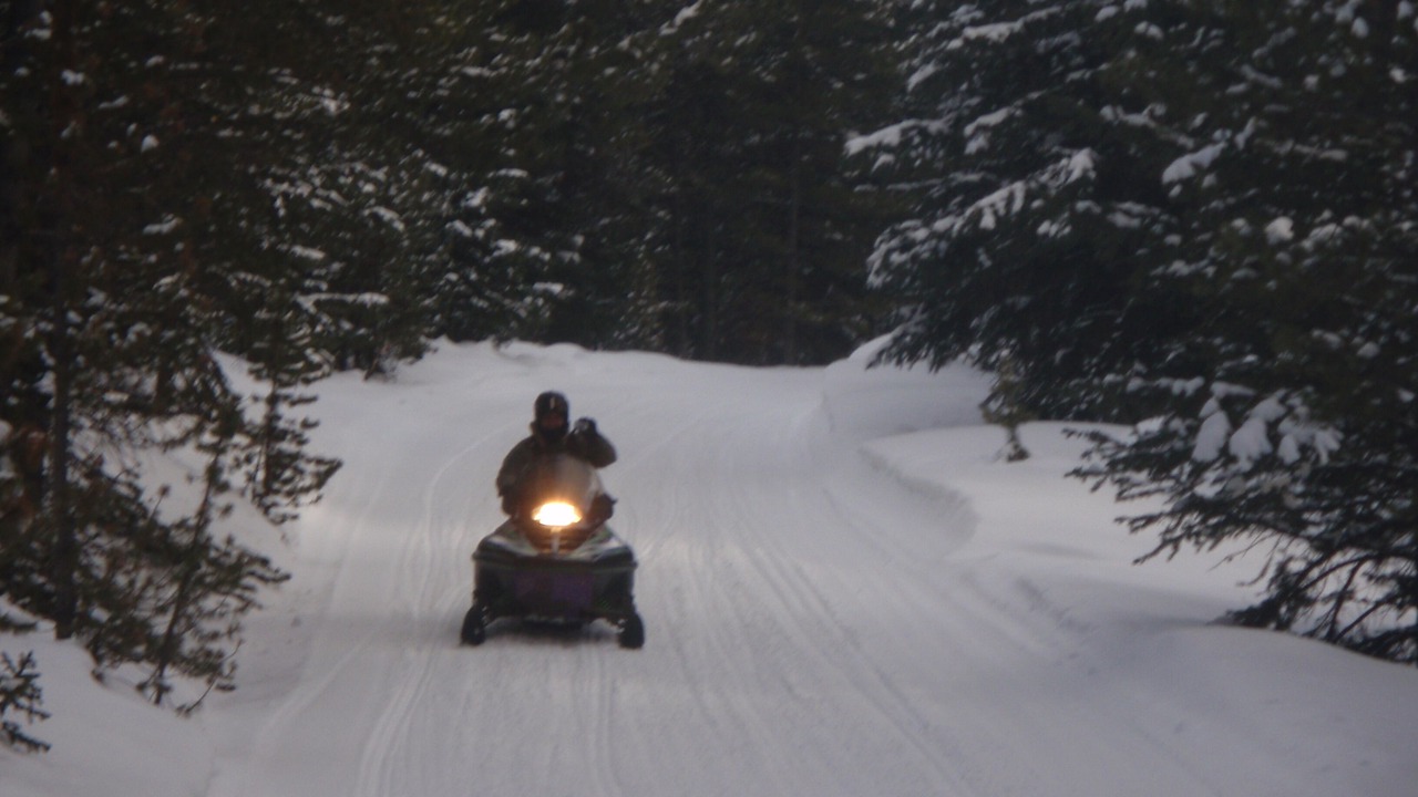 Photo of Others in Dillon