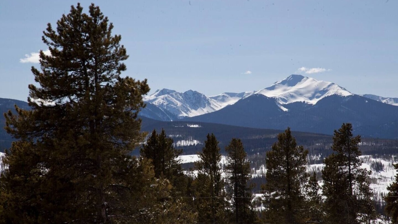 Photo of Others in Fraser