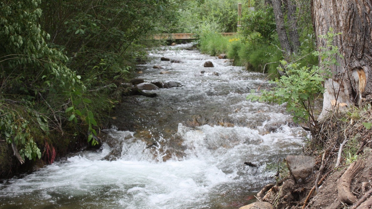 Photo of Others in Salida