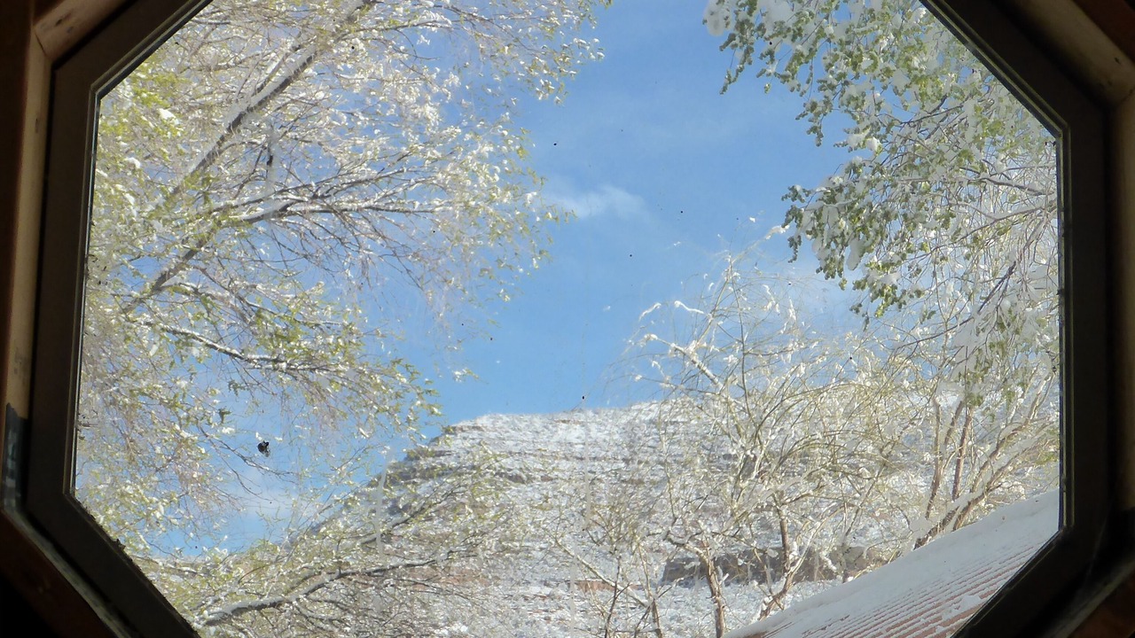Photo of Others in Cortez