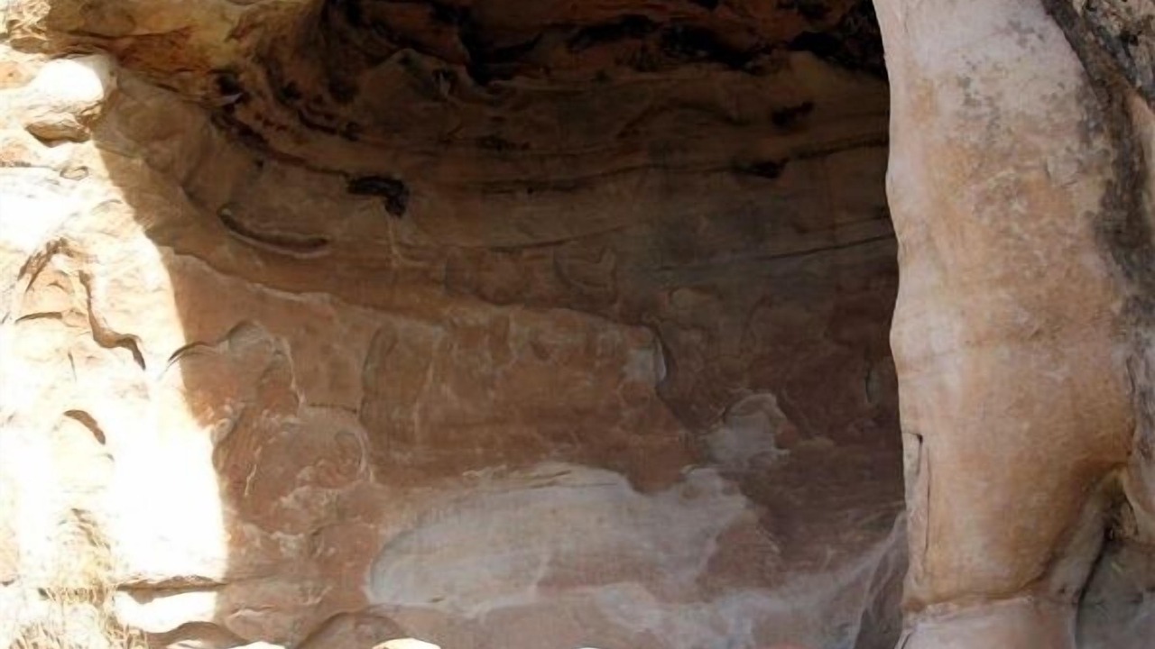 Photo of Others in Cortez